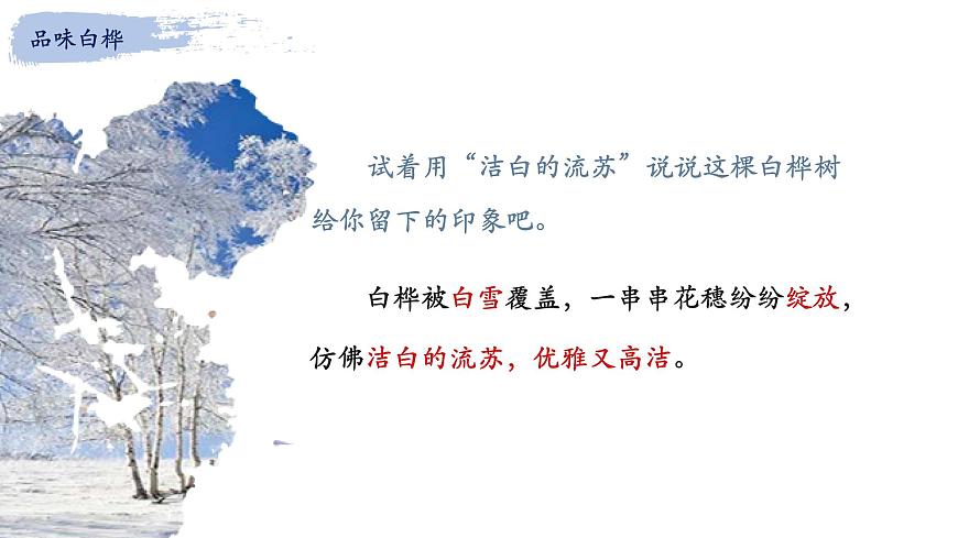 统编版（2024）四年级语文下册11白桦课件ppt第7页