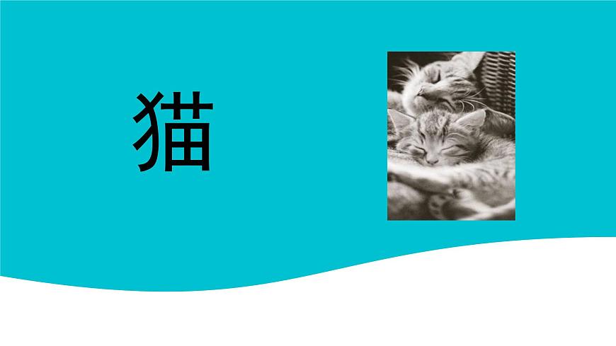 统编版（2024）四年级语文下册13猫ppt课件第1页