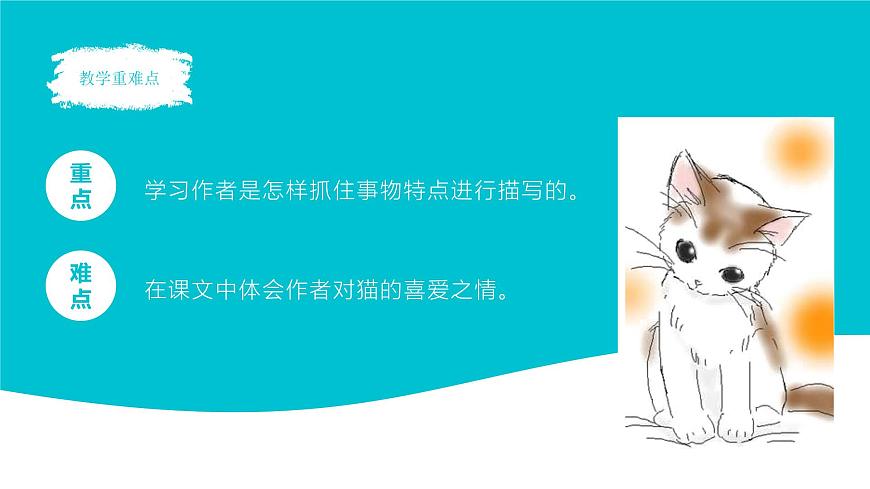统编版（2024）四年级语文下册13猫ppt课件第3页