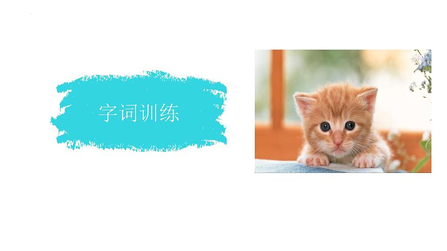 统编版（2024）四年级语文下册13猫ppt课件第4页