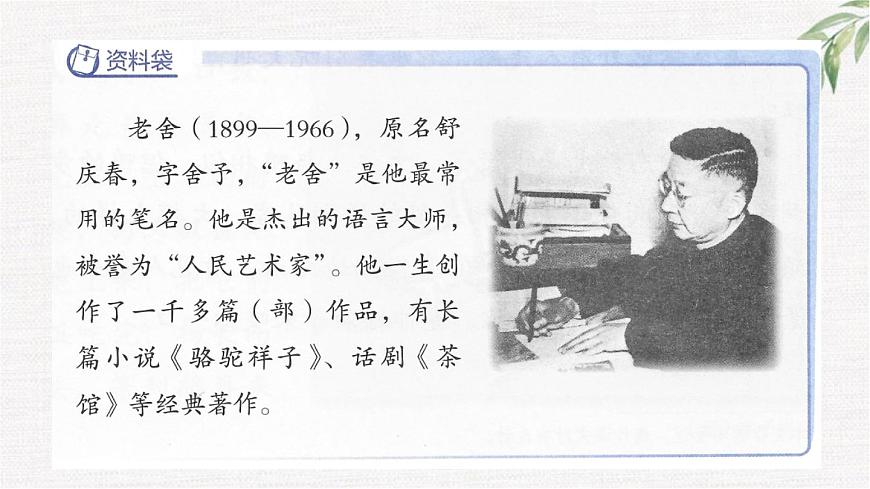 统编版（2024）四年级语文下册13猫第1课时课件第3页