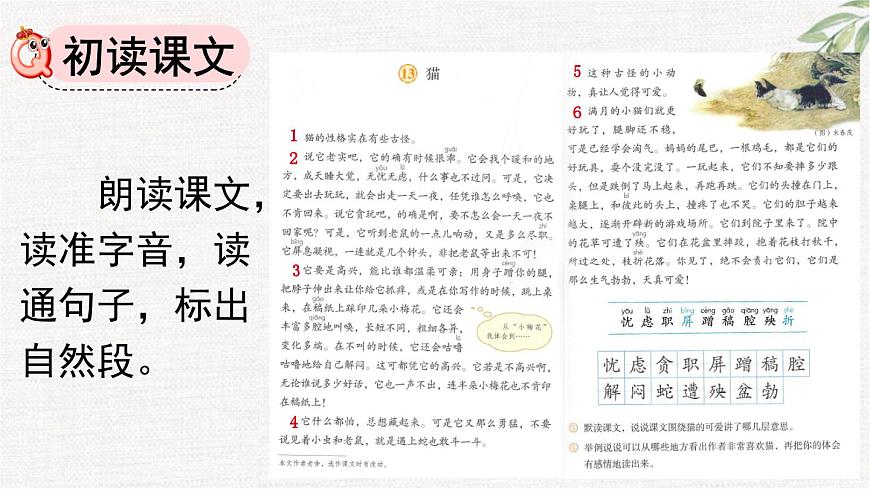 统编版（2024）四年级语文下册13猫第1课时课件第5页