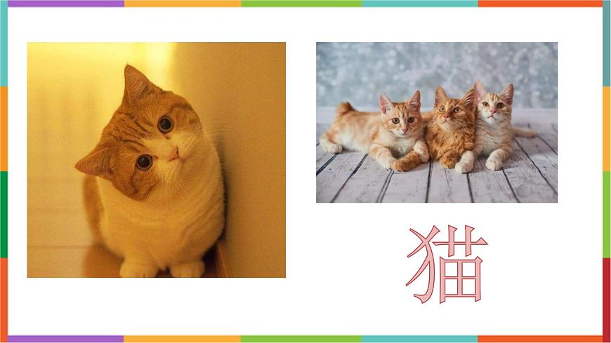 统编版（2024）四年级语文下册13猫课件第1页