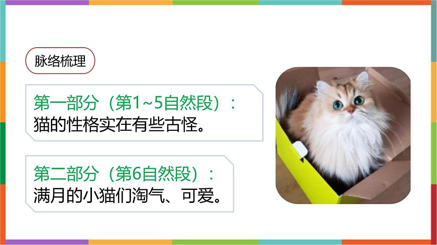 统编版（2024）四年级语文下册13猫课件第6页