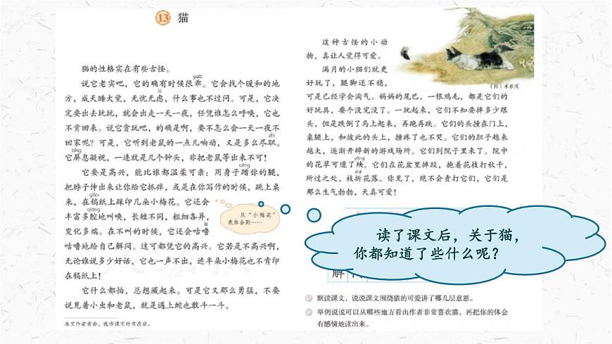 统编版（2024）四年级语文下册13猫课件ppt第3页