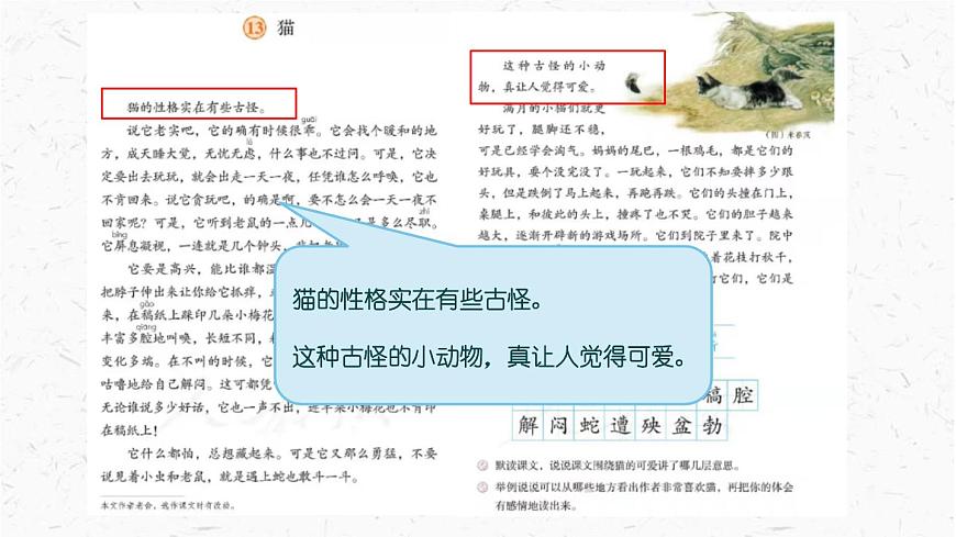 统编版（2024）四年级语文下册13猫课件ppt第5页