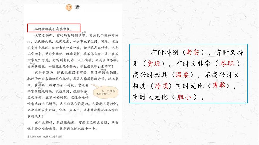 统编版（2024）四年级语文下册13猫课件ppt第7页