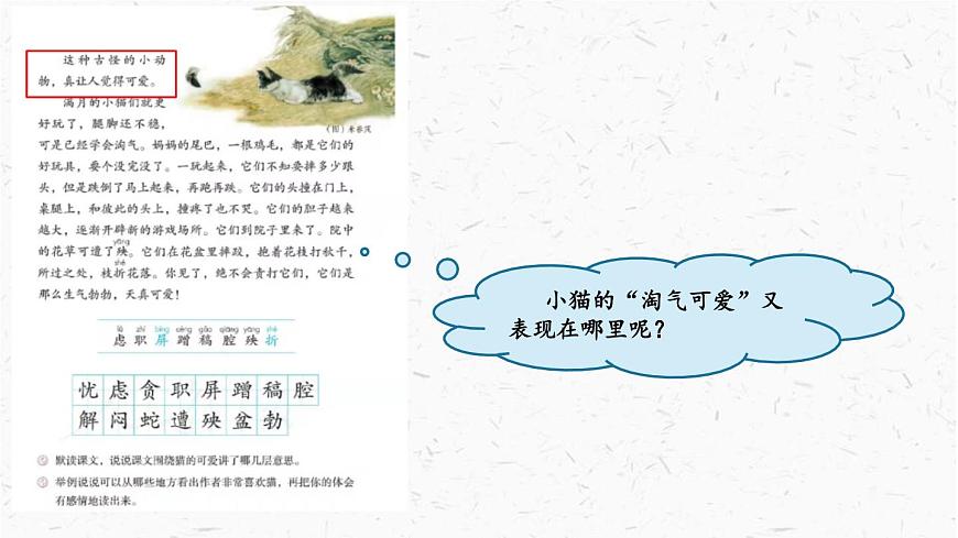 统编版（2024）四年级语文下册13猫课件ppt第8页
