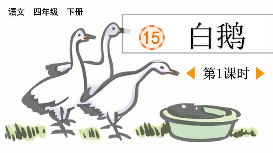 统编版（2024）四年级语文下册15白鹅第1课时ppt课件第1页