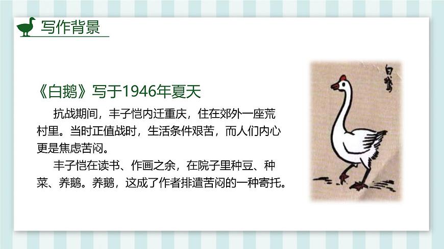 统编版（2024）四年级语文下册15白鹅第1课时ppt课件第2页