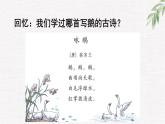 统编版（2024）四年级语文下册15白鹅第1课时课件