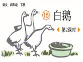统编版（2024）四年级语文下册15白鹅第2课时ppt课件