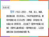 统编版（2024）四年级语文下册19小英雄雨来（节选）课件