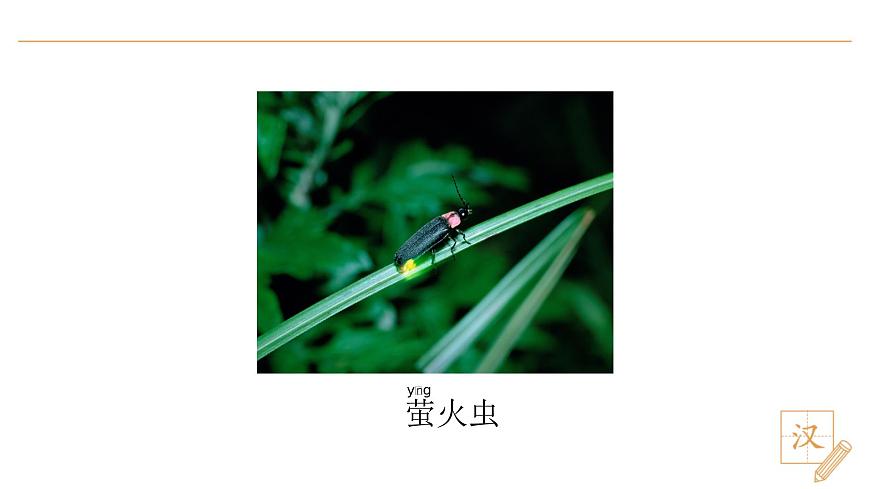 语文园地六第7页