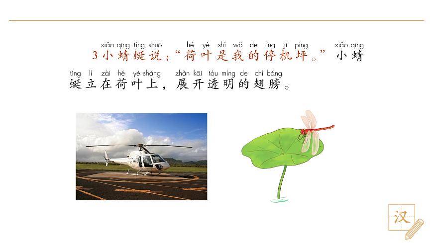 12 荷叶圆圆（第2课时）第7页