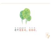 2024-2025學(xué)年部編版語文一年級下冊《荷葉圓圓》 第1課時 教學(xué)課件+教學(xué)設(shè)計