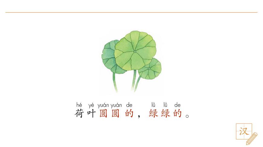 12 荷叶圆圆（第1课时）第5页