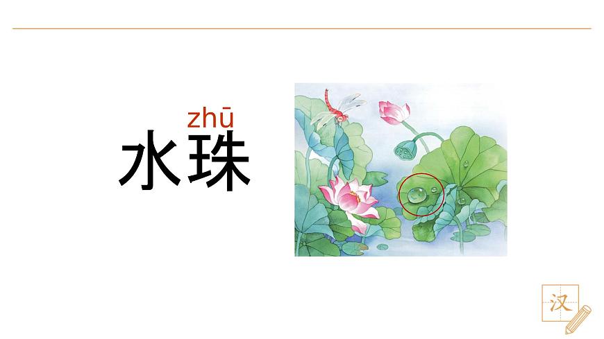 12 荷叶圆圆（第1课时）第7页