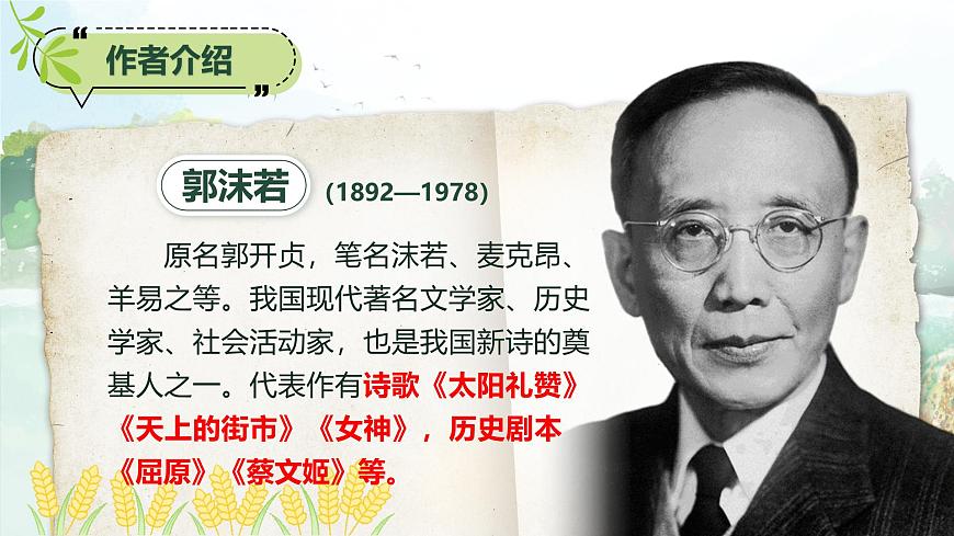 部编版2025五年级上册语文1 白鹭 课件第6页