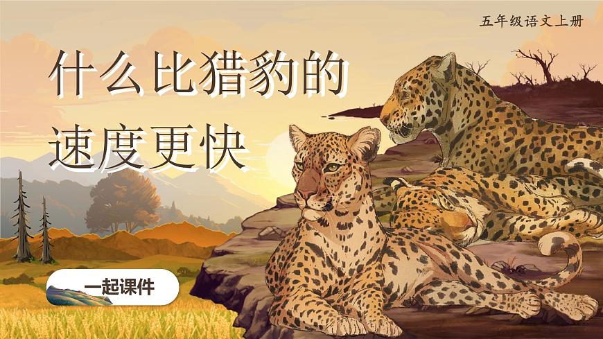 部编版2025五年级上册语文7什么比猎豹的速度更快 课件第3页