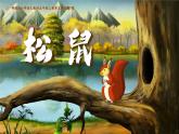 部编版2025五年级上册语文17松鼠（任务二） 课件