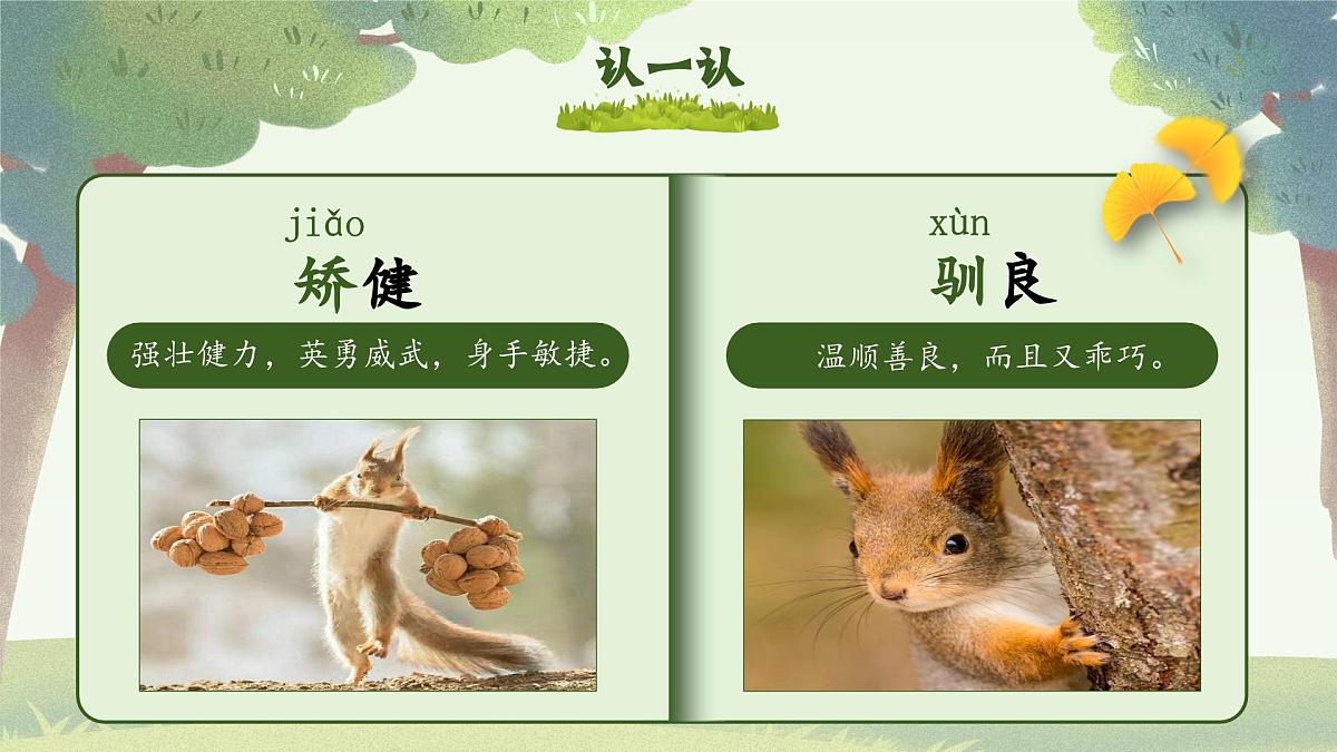 部编版2025五年级上册语文17松鼠（任务二） 课件第8页