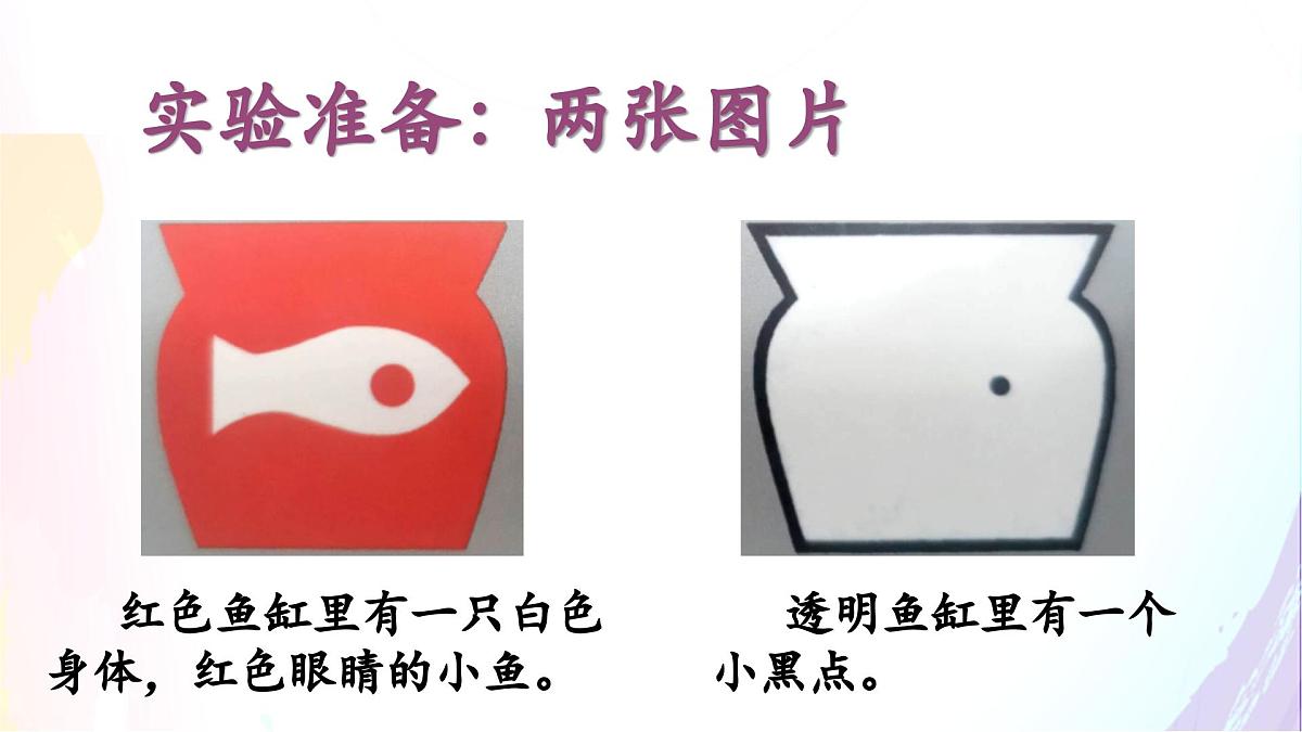 三下《习作：我做了一项小实验》课件第3页