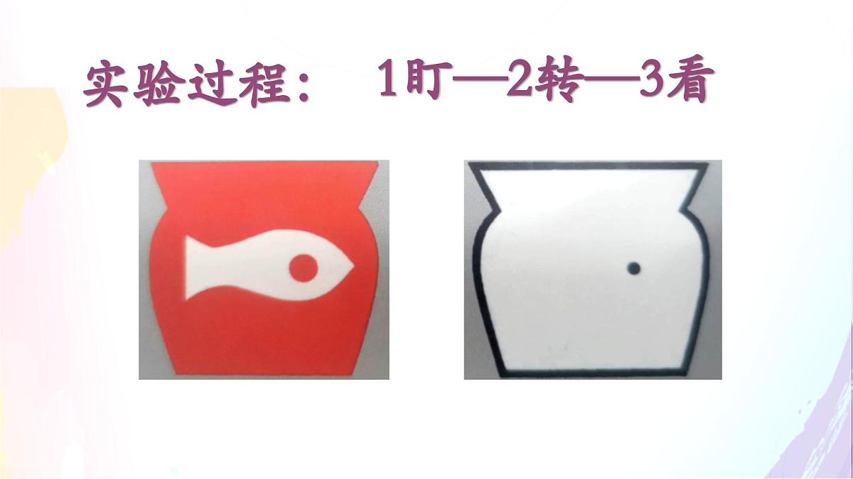 三下《习作：我做了一项小实验》课件第4页