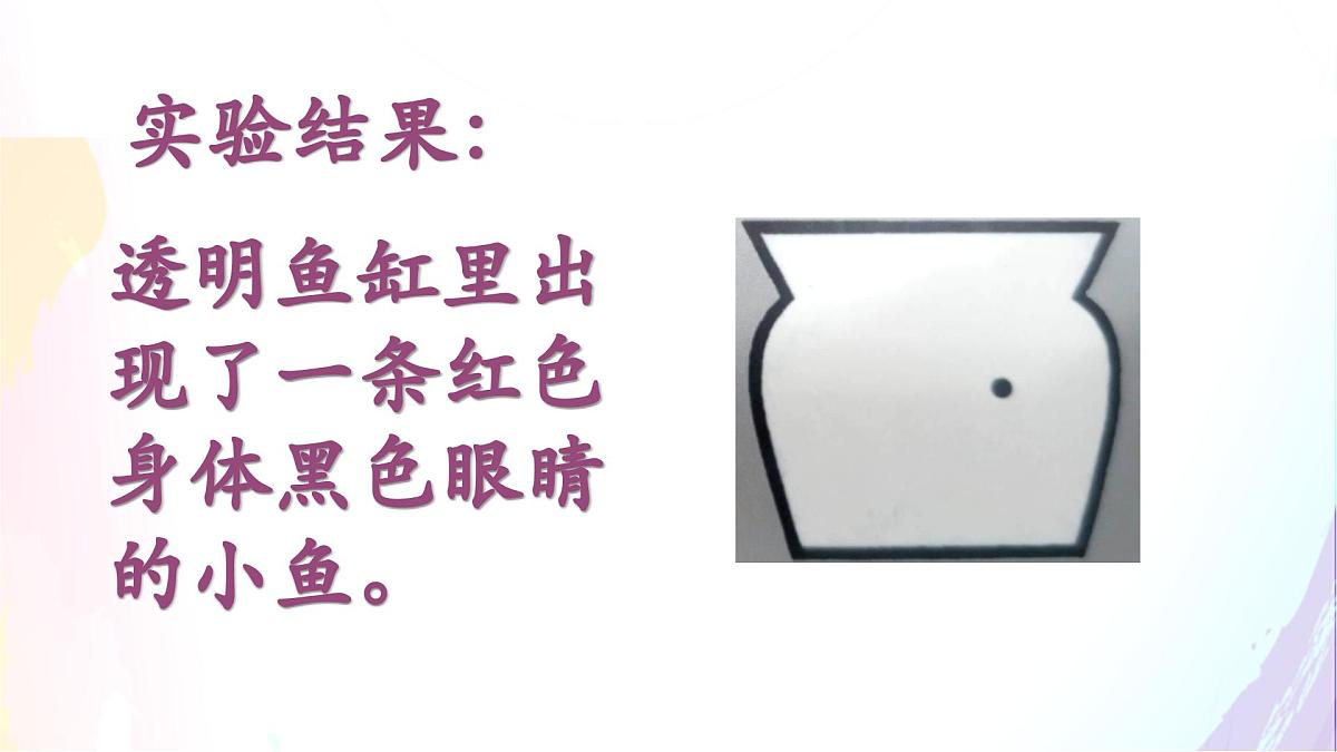 三下《习作：我做了一项小实验》课件第5页