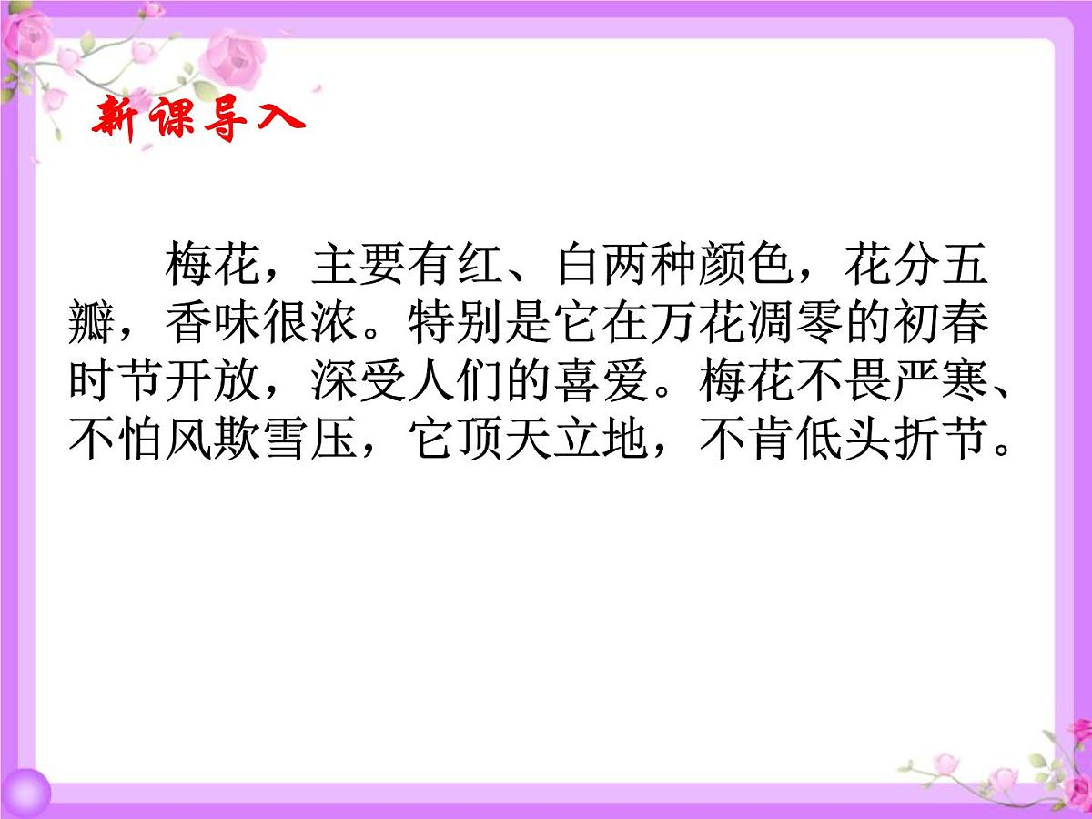 统编版（2024）五年级语文下学期4梅花魂ppt课件第3页