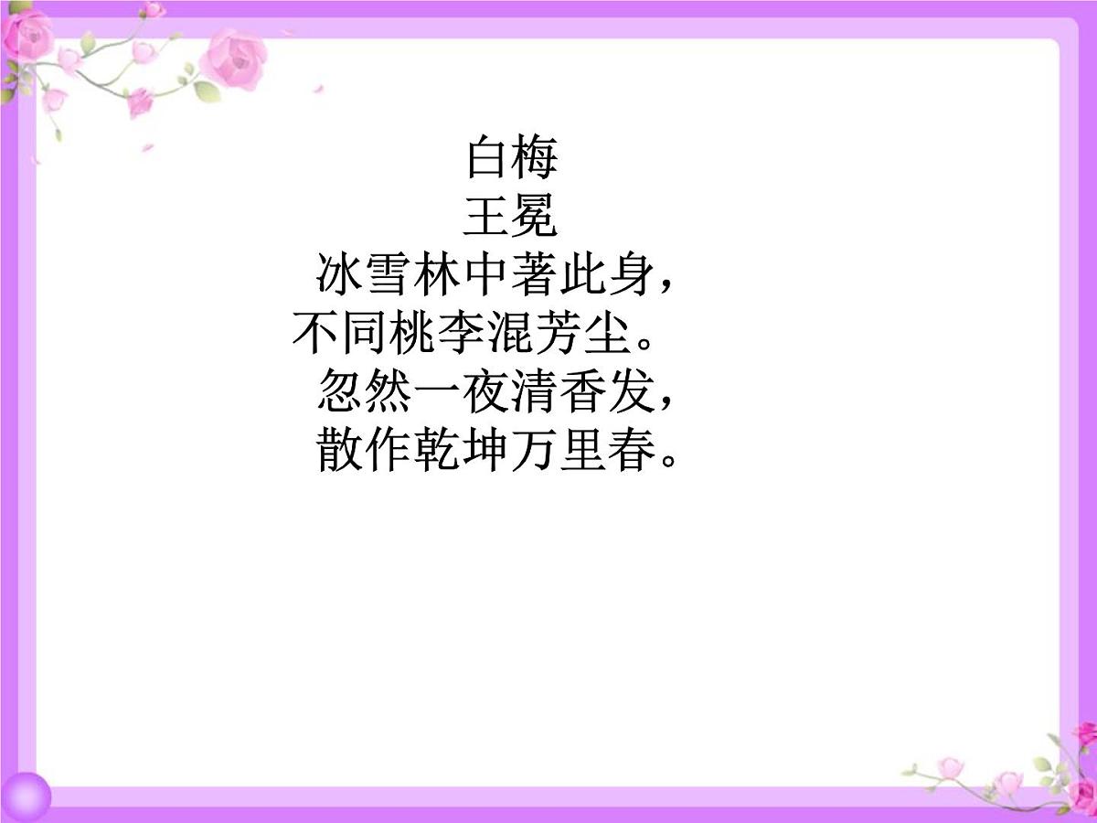 统编版（2024）五年级语文下学期4梅花魂ppt课件第6页