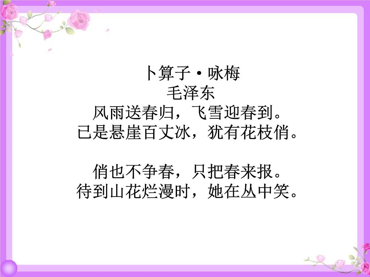 统编版（2024）五年级语文下学期4梅花魂ppt课件第7页