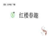 统编版（2024）五年级语文下册8红楼春趣课件