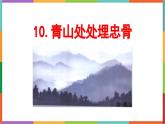 统编版（2024）五年级语文下册10青山处处埋忠骨课件