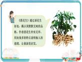 部編版小學語文五年級上冊第一單元《語文園地》課件（2課時）+教案（2課時）