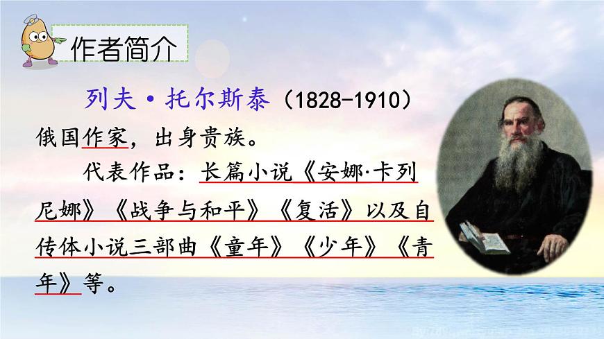 统编版（2024）五年级语文下册17跳水第1课时课件第3页