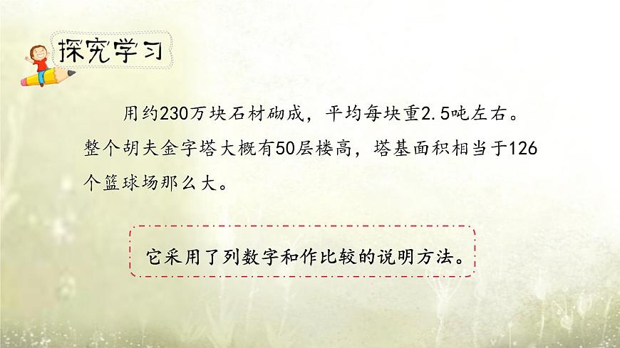 统编版（2024）五年级语文下册20金字塔第2课时ppt课件第8页