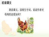 统编版四年级语文下册教学课件《母鸡》