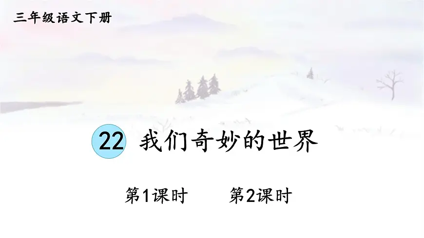 统编版三年级语文下册教学课件《我们奇妙的世界》第2页