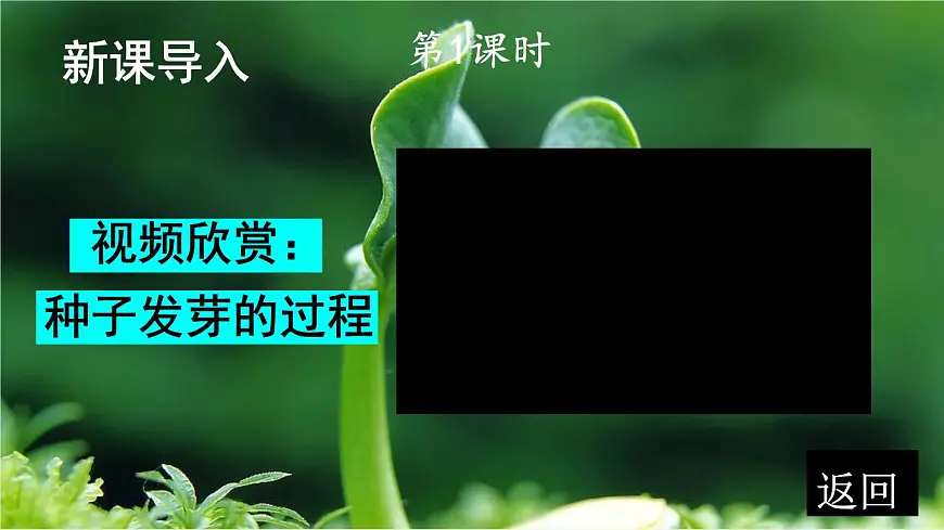 统编版三年级语文下册教学课件《我们奇妙的世界》第3页