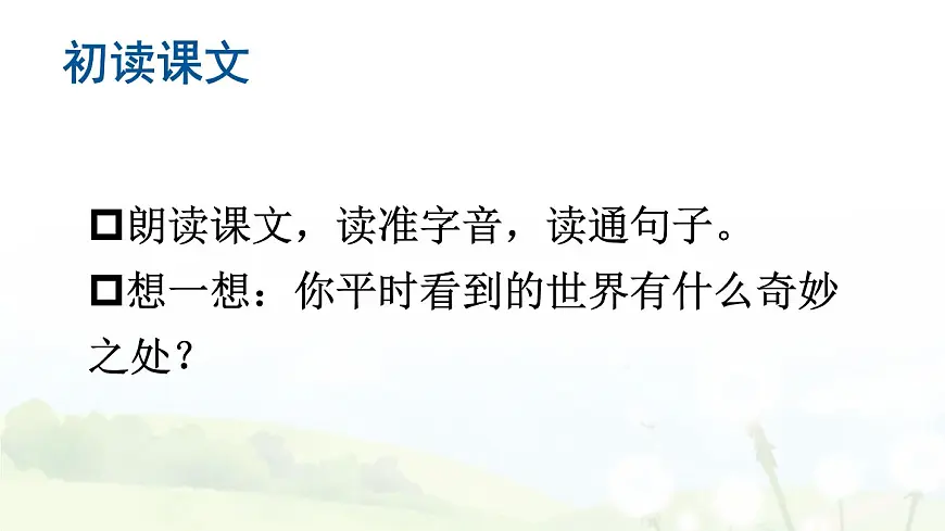 统编版三年级语文下册教学课件《我们奇妙的世界》第4页