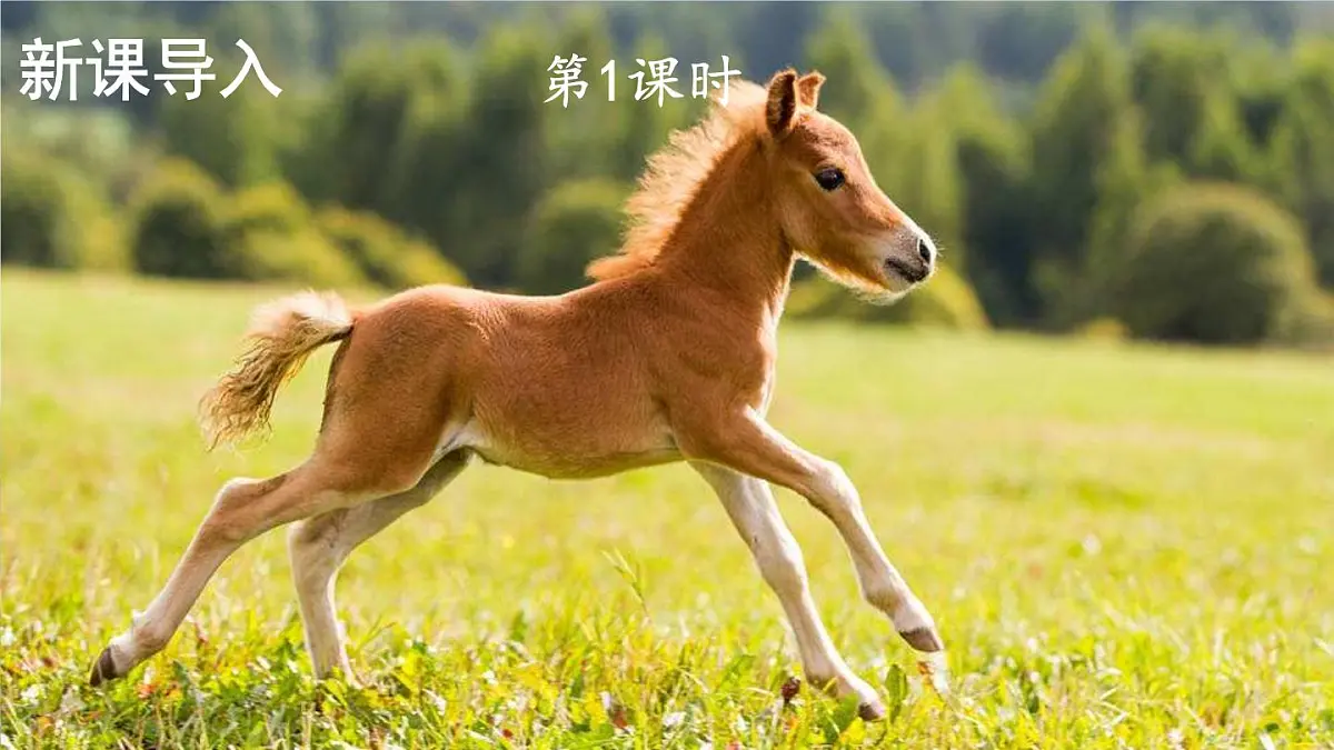 统编版二年级语文下册教学课件《小马过河》第2页