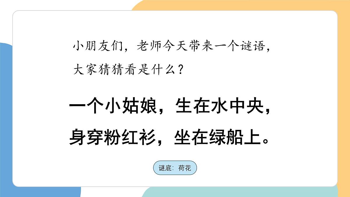 荷叶圆圆（第1课时）第4页