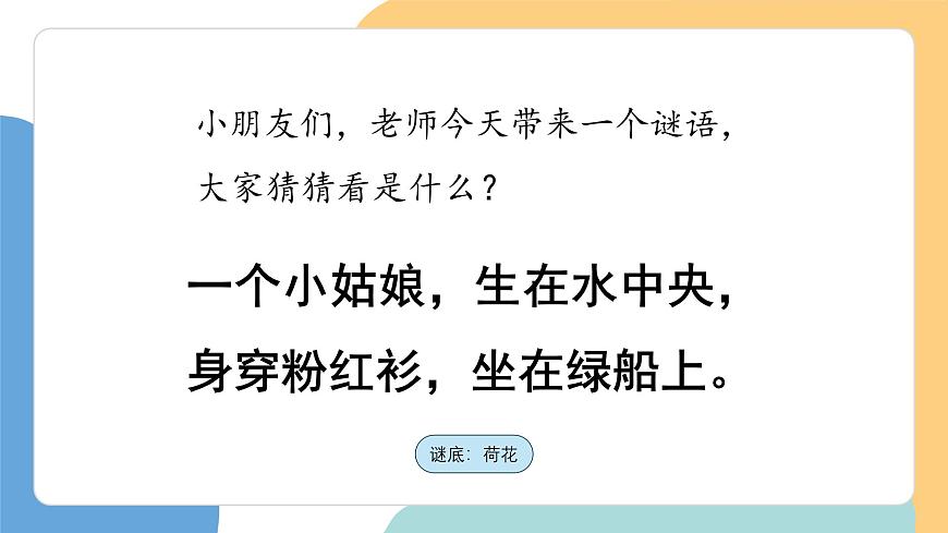 荷叶圆圆（第1课时）第4页