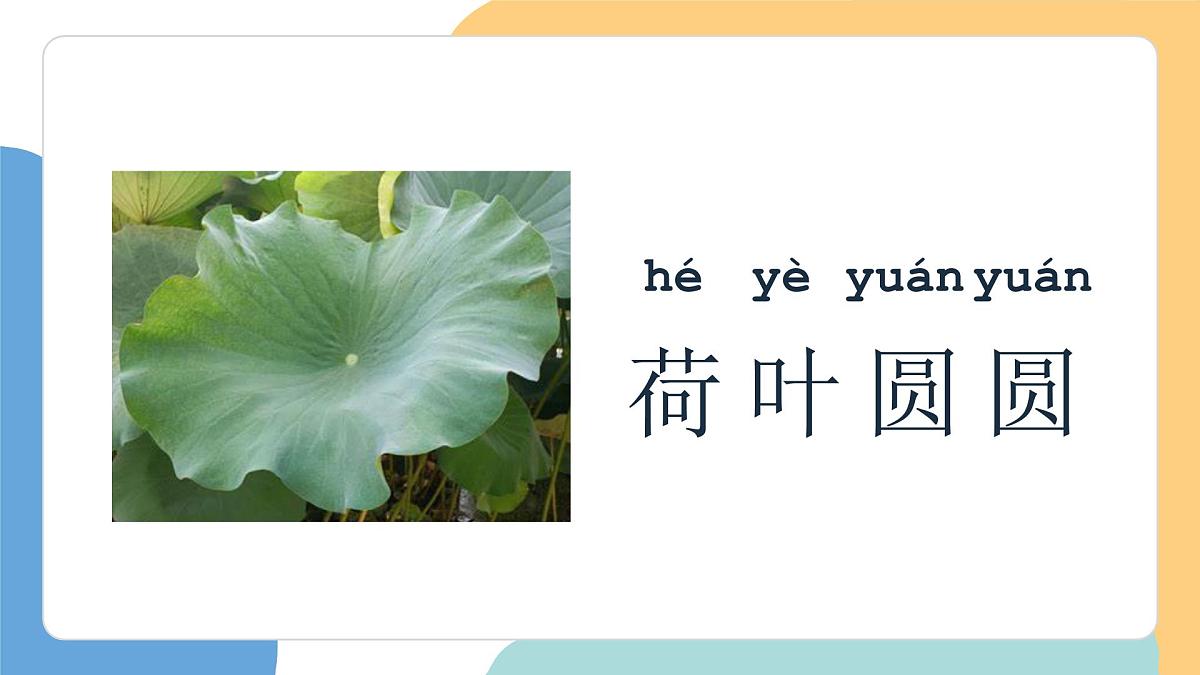 荷叶圆圆（第1课时）第7页