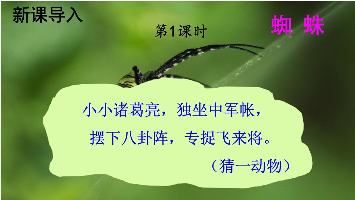 统编版二年级语文下册教学课件《蜘蛛开店》第2页