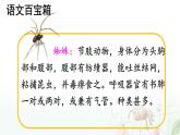 统编版二年级语文下册教学课件《蜘蛛开店》