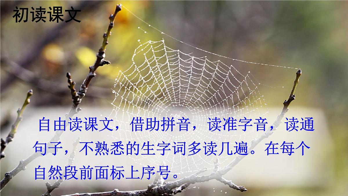 统编版二年级语文下册教学课件《蜘蛛开店》第4页