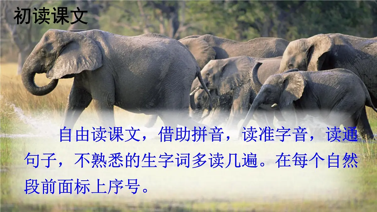 统编版二年级语文下册教学课件《大象的耳朵》第4页