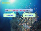 (部编版)小学语文三年级下册第23课《海底世界》第二课时 课件